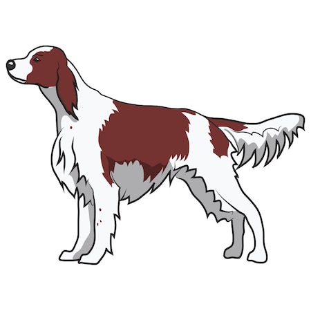Signmission Irish Red And White Setter Dog Decal, Dog Lover Decor Vinyl Sticker D-12-Irish Red And White Setter